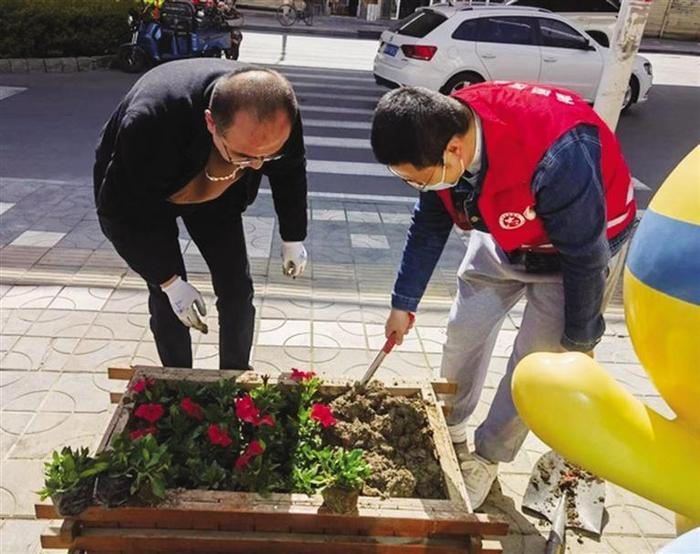 社区提供花卉 居民认领栽植