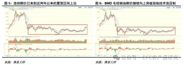 悠哉油斋 · 油脂走势的关键仍在棕榈油