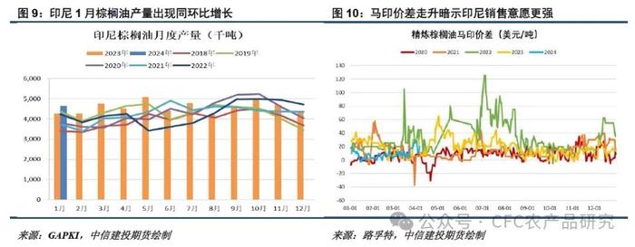 悠哉油斋 · 油脂走势的关键仍在棕榈油