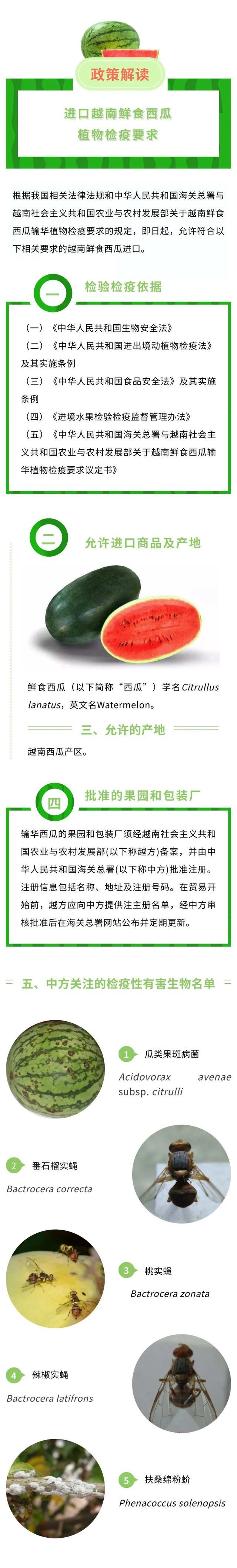 政策解读｜海关总署关于进口越南鲜食西瓜植物检疫要求的公告