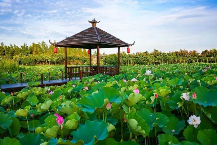 珠海这条旅游线路，获农业农村部推介！