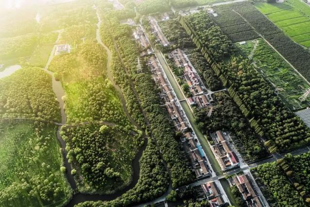 奉贤的乡村越来越“出圈”了，是什么让奉贤在乡村振兴新赛道上跑出了加速度