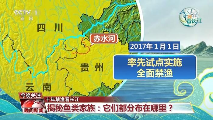 长江鱼类野外种群恢复如何？还需要持续禁渔吗？