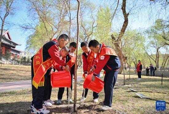 新疆哈密：春日同植“左公柳”