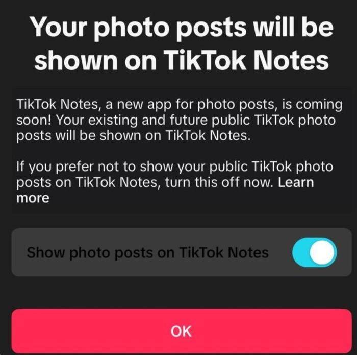 TikTok确认正开发新App：有点像小红书 要抢扎克伯格生意