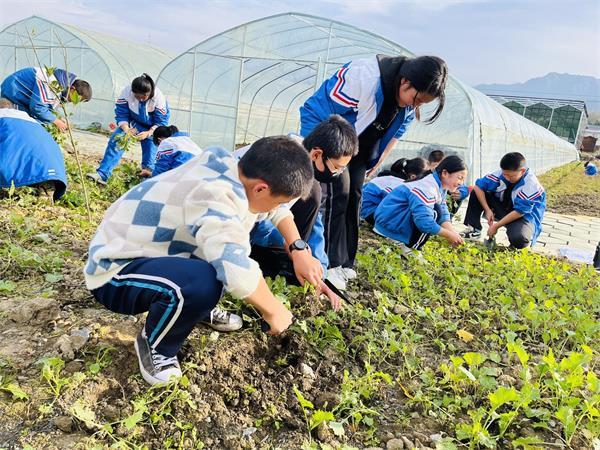 竹溪县中峰镇中心学校开展户外劳动主题教育