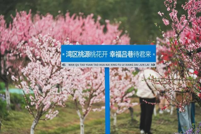 春日宝藏骑行路线，适合现在去！