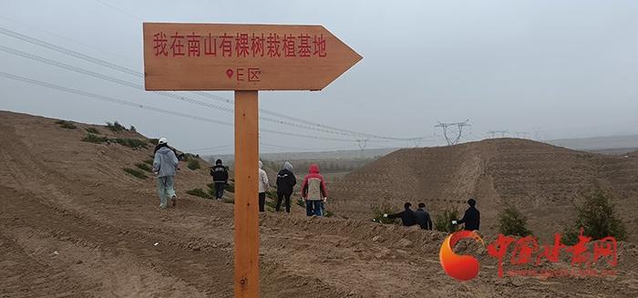 中国甘肃网走进武威凉州区 植绿南山共建生态家园