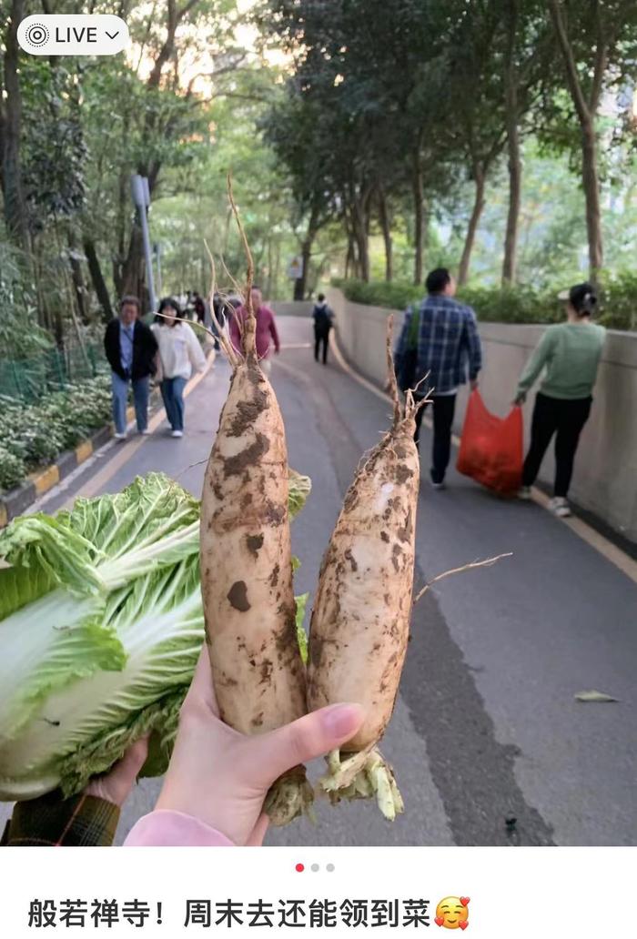 深边事 | 要预约要排队，寺庙“斋饭”火爆！年轻人在过一种很新的周末