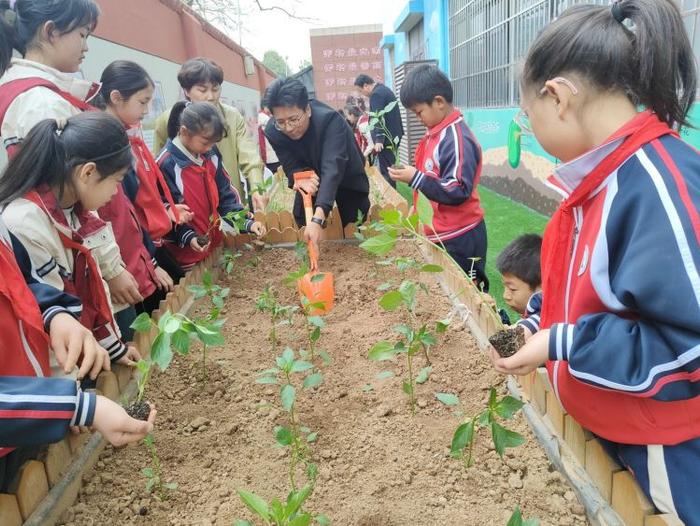 播种希望 收获成长——灞桥区东李小学开展第二届种植节活动