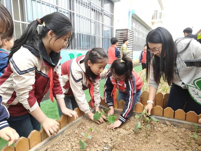 播种希望 收获成长——灞桥区东李小学开展第二届种植节活动