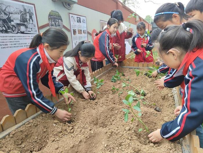 播种希望 收获成长——灞桥区东李小学开展第二届种植节活动