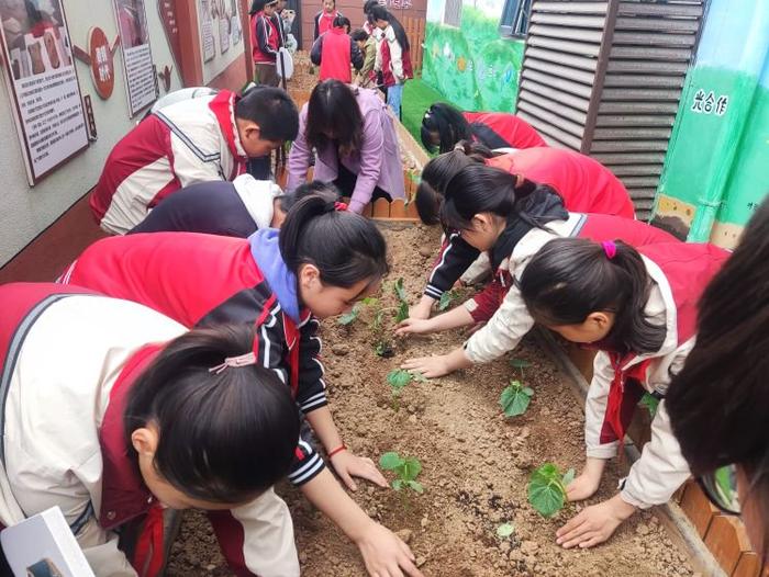 播种希望 收获成长——灞桥区东李小学开展第二届种植节活动