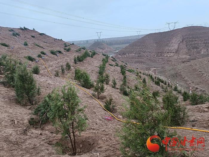 中国甘肃网走进武威凉州区 植绿南山共建生态家园