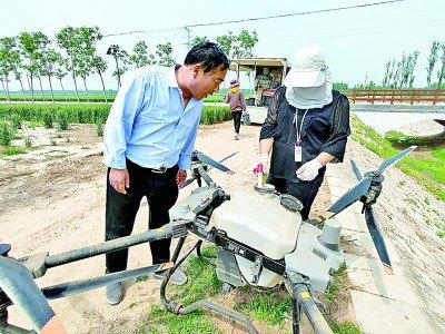 山东省德州市齐河县刘桥镇西杨村：良田锦绣美如画