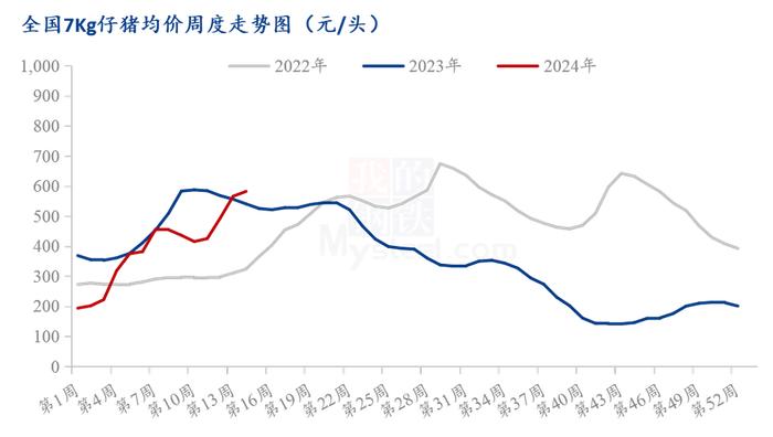 周期拐点？养猪开始赚钱，仔猪连涨10周 机构企业散户一致“乐观”