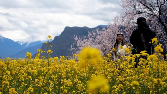 高原芳菲画春景——花间唤醒雪域春