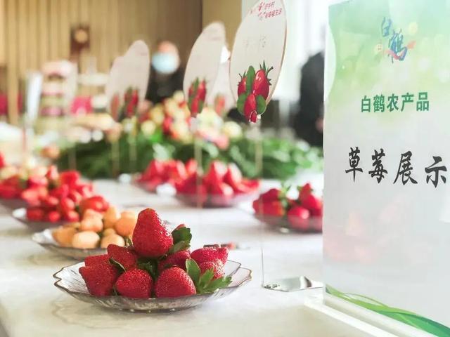 上海唯一！青浦这个镇入选国家农业产业强镇项目拟立项名单→
