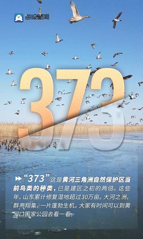 海报丨4个数字、3个方面！看黄河重大国家战略的山东担当