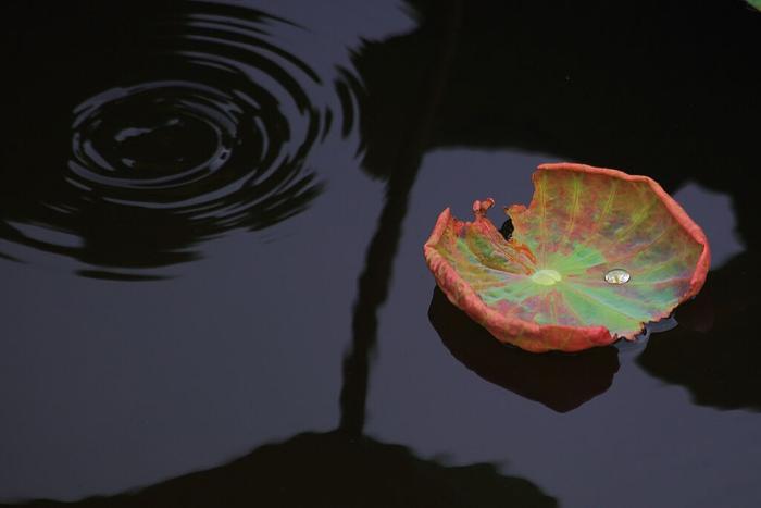 每日一读 | 不轻易被影响，是一种了不起的能力