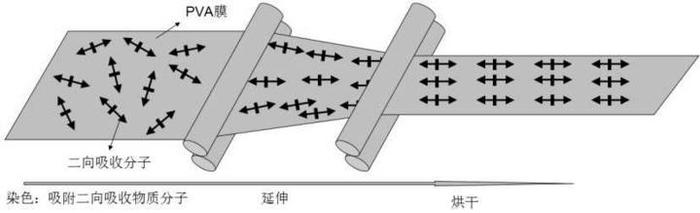 证券代码：002876       证券简称：三利谱      公告编号：2024-031