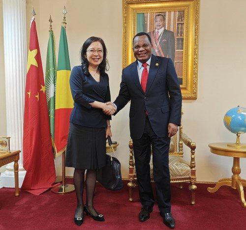 驻刚果（布）大使李岩拜会刚外交部长加科索