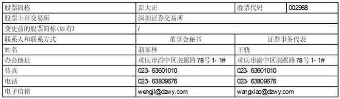 证券代码：002968      证券简称：新大正       公告编号：2023-019