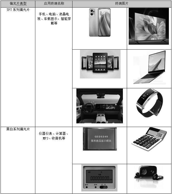 证券代码：002876       证券简称：三利谱      公告编号：2024-031