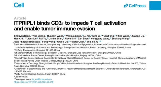 Cell发文！复旦上医许杰团队发现CD3L1免疫检查点，为肿瘤治疗带来新突破