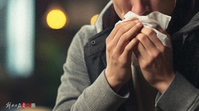 全国爱鼻日｜鼻塞流涕老不见好，是感冒还是过敏性鼻炎？