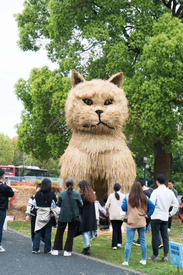 稻草“巨人”、悬浮花艺城堡、粉色“熔岩火山”……月湖雕塑公园奇幻出圈→