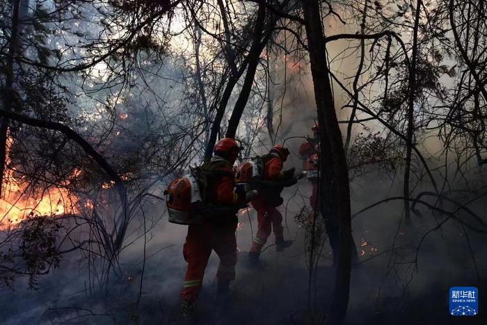 云南晋宁森林火灾仍在持续 2300余人全力扑救