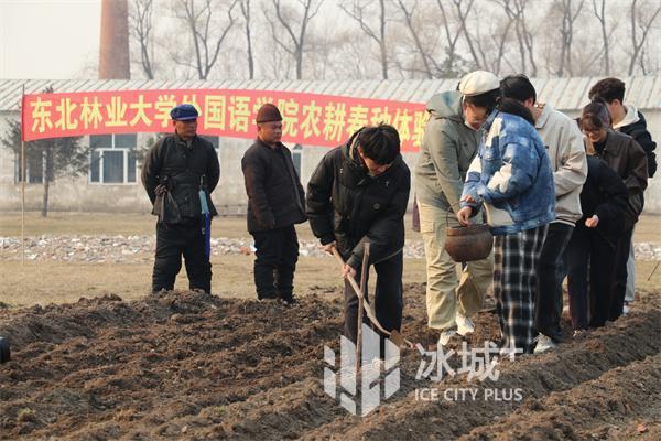 田间课堂寻农耕之美！东林师生在农活儿中感受劳动教育