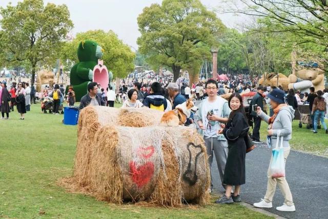 稻草“巨人”、悬浮花艺城堡、粉色“熔岩火山”……月湖雕塑公园奇幻出圈→