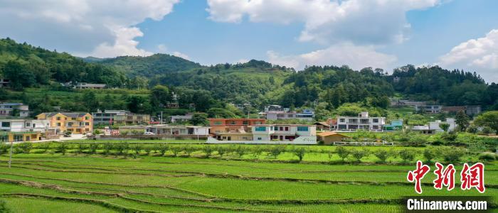 贵州纳雍：闲置村居变身“网红民宿” 山村增“颜”提“质”引客来