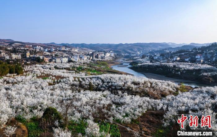 贵州纳雍：闲置村居变身“网红民宿” 山村增“颜”提“质”引客来