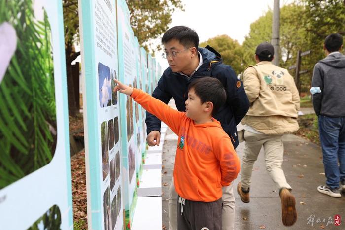 白头鹎、乌鸫、珠颈斑鸠和麻雀，来这里观测上海人熟悉的鸟类“四大金刚”