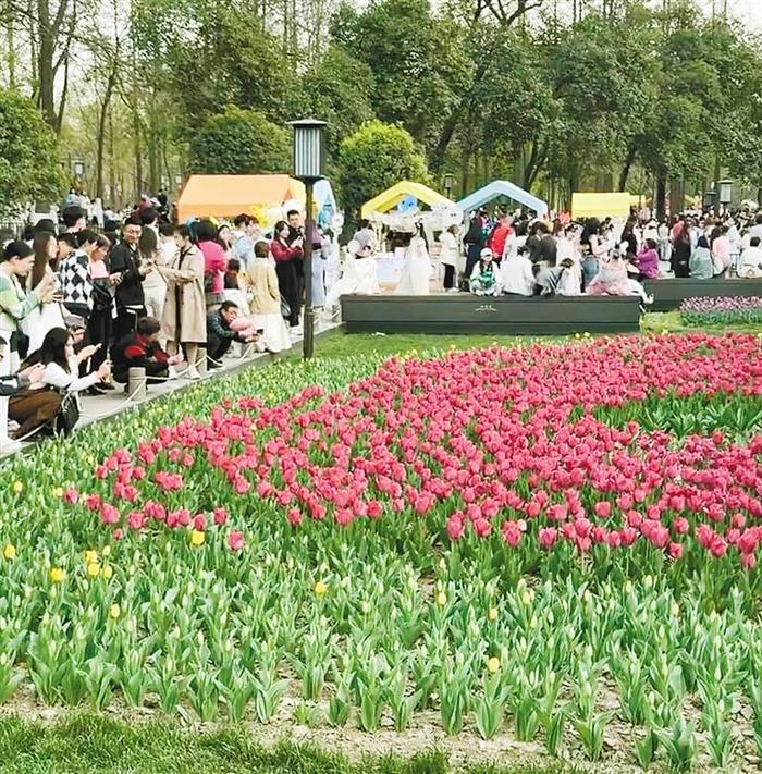 四月花海飘香 赏花美照少不了 “陪拍”消费成西安年轻人时尚潮流