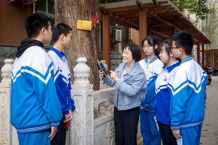 为百年古树做“复健”，中小学生给北京生态保护支招儿