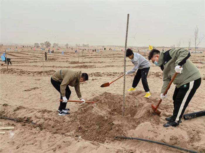 勠力同心 治沙逐绿 科尔沁沙地歼灭战兴安盟科右中旗“南三苏木”治理区开展防沙治沙工程建设