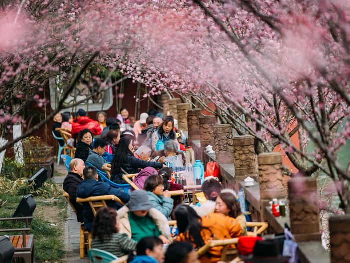 爱看头评之“成都人是成都最好的旅游代言人”②丨城市推广  “网红”之外的回归