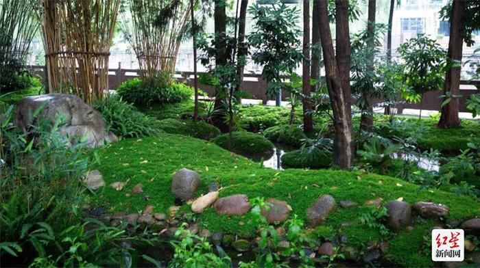 锦绣世园会 | 闹市里的植物博物馆 400余种植物繁茂生长