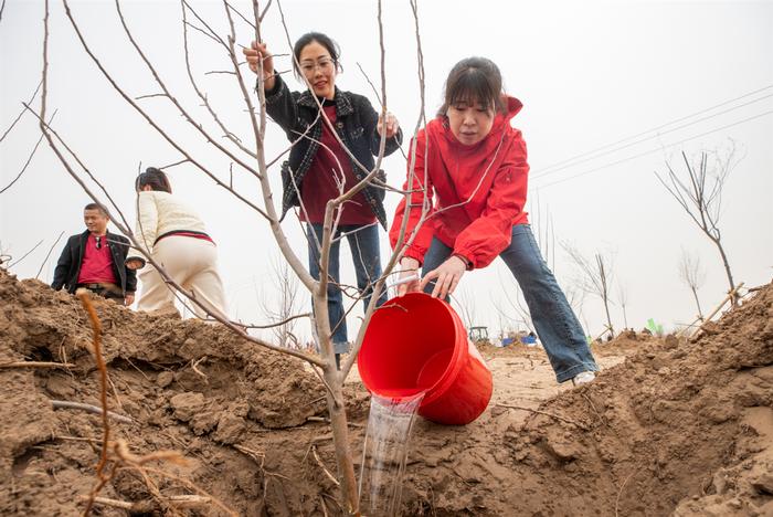 勠力同心 治沙逐绿 科尔沁沙地歼灭战兴安盟科右中旗“南三苏木”治理区开展防沙治沙工程建设