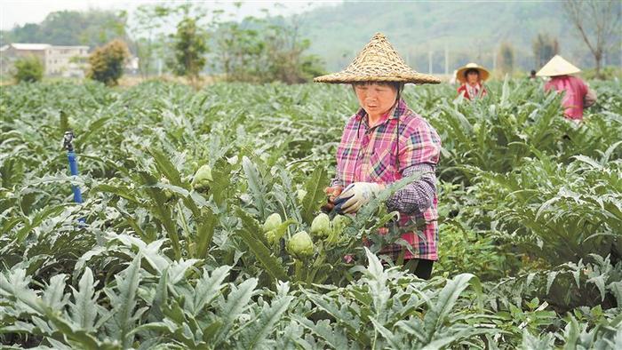 输入金融活水 打造算力飞地 擦亮农字招牌 深企掘宝韶关助力乡村振兴