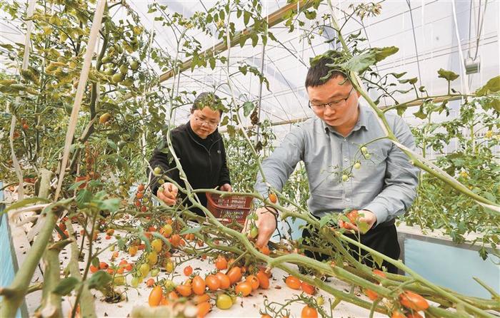 输入金融活水 打造算力飞地 擦亮农字招牌 深企掘宝韶关助力乡村振兴