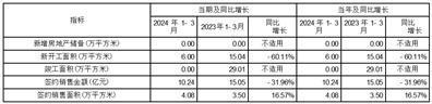 证券代码：600683    证券简称：京投发展    编号：临2024-030