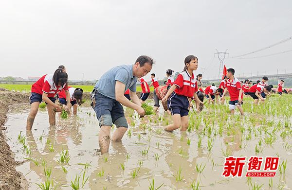 衡阳县台源镇瑞基学校：党代表教我插田，劳动教育别样红