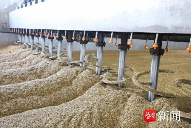 江苏杰龙：一个跨国的国家级农业产业化龙头企业
