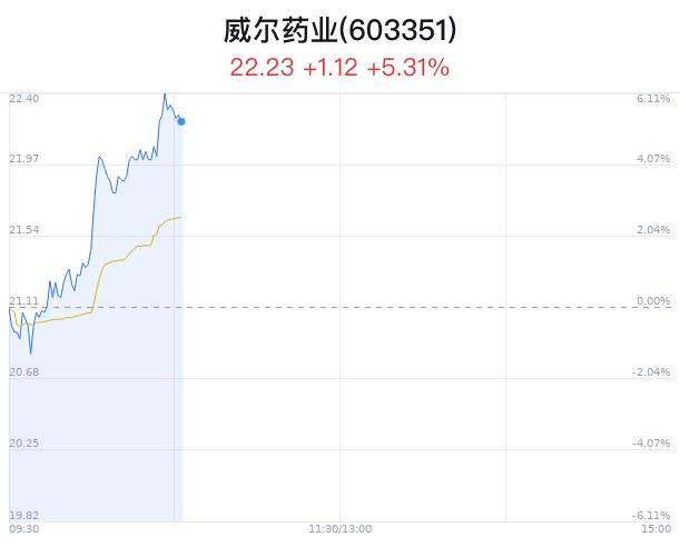 威尔药业大幅上涨 主力净流出56万元