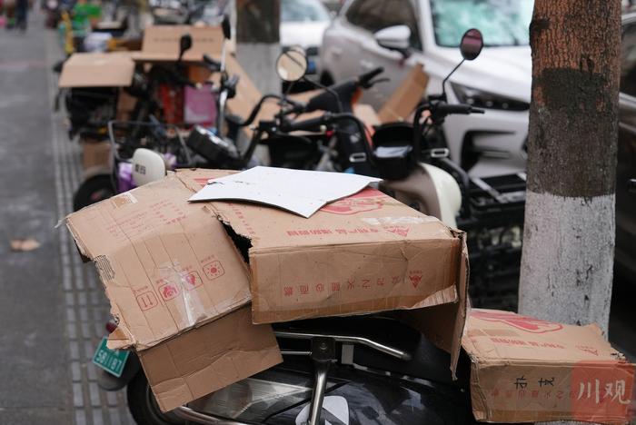 C视频·问政四川丨“白絮”纷飞，黏糊糊“雨滴”落不停 成都街头这怪现象究竟是啥?